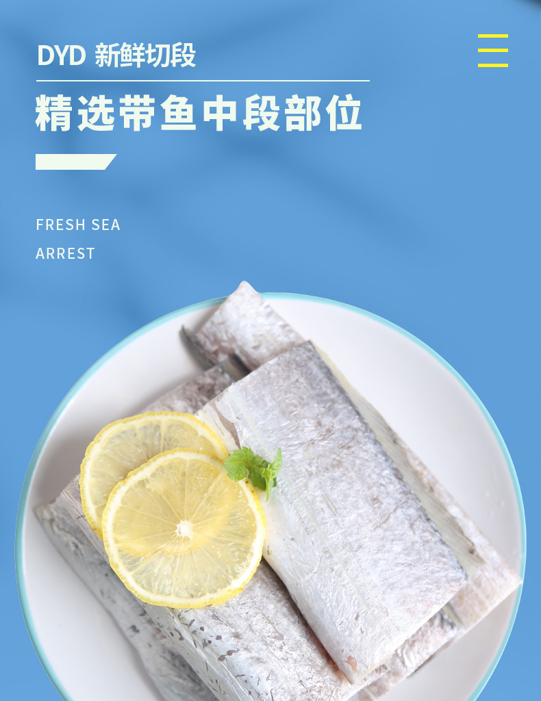 简鲜 新鲜冷冻东海大刀鱼带鱼段750克*3袋国产海鲜水产