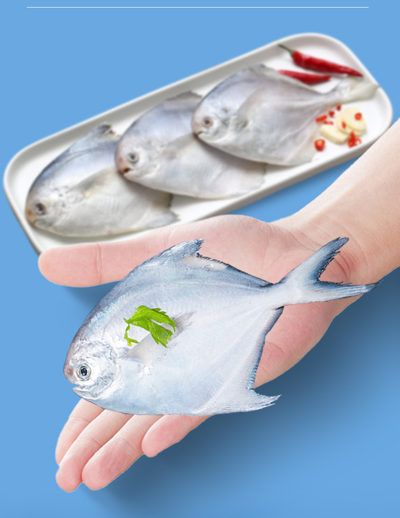 简鲜 冷冻新鲜小平鱼烧烤生鲜鱼类海银鲳鱼2000g（21-28条）