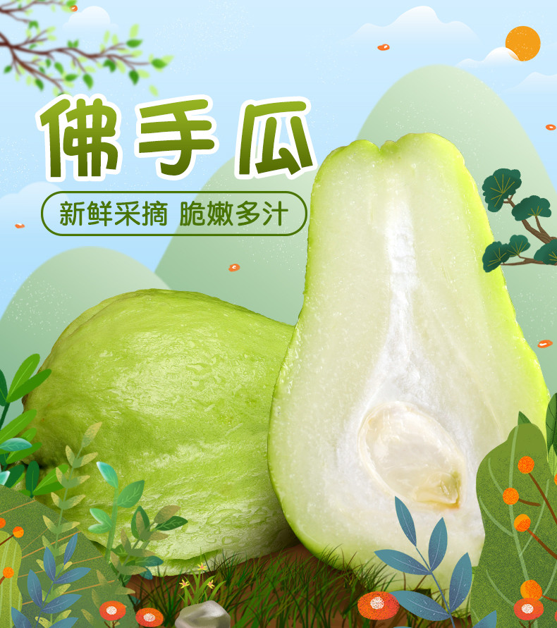 新丰佛手瓜 地标新丰县农产品帮扶蔬菜佛手瓜吊瓜2.5KG /箱