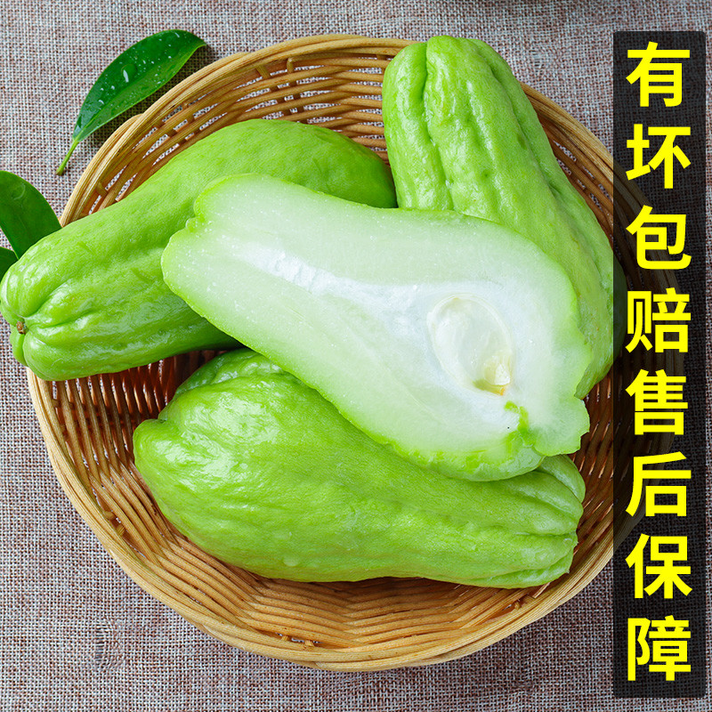 新丰佛手瓜 地标新丰县农产品帮扶蔬菜佛手瓜吊瓜2.5KG /箱