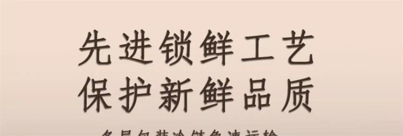 东升潮丸 潮汕牛肉丸汕头牛筋丸 牛丸手工火锅即食丸子2斤 肉质紧实弹牙