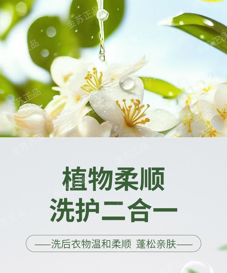 金苏 酵素茉莉香水洗衣液洗衣液 【超大桶量】