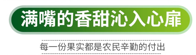 农家自产 当季新鲜白黏糯玉米 带叶发货饱满头茬采摘