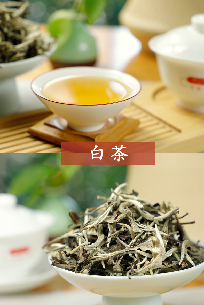 雾露山 云南白茶月光白散茶