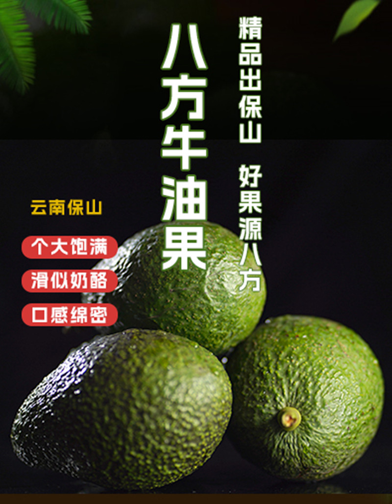 农家自产 11月26日发货云南保山怒江大峡谷哈斯牛油果新鲜现摘现发