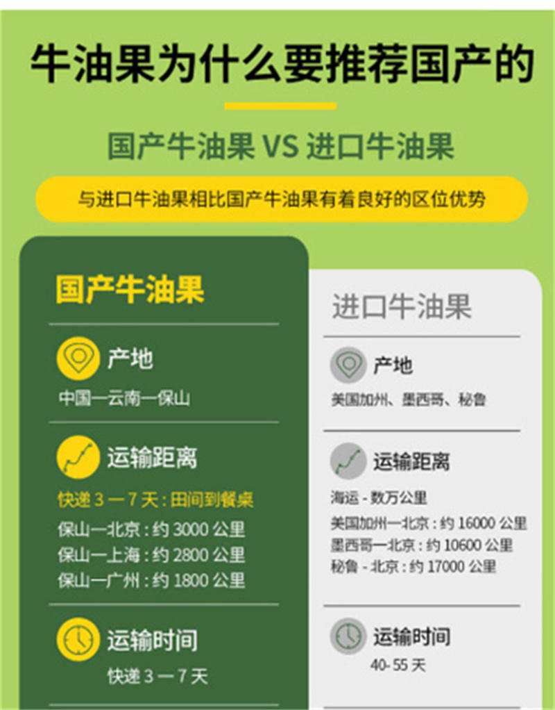 农家自产 11月26日发货云南保山怒江大峡谷哈斯牛油果新鲜现摘现发