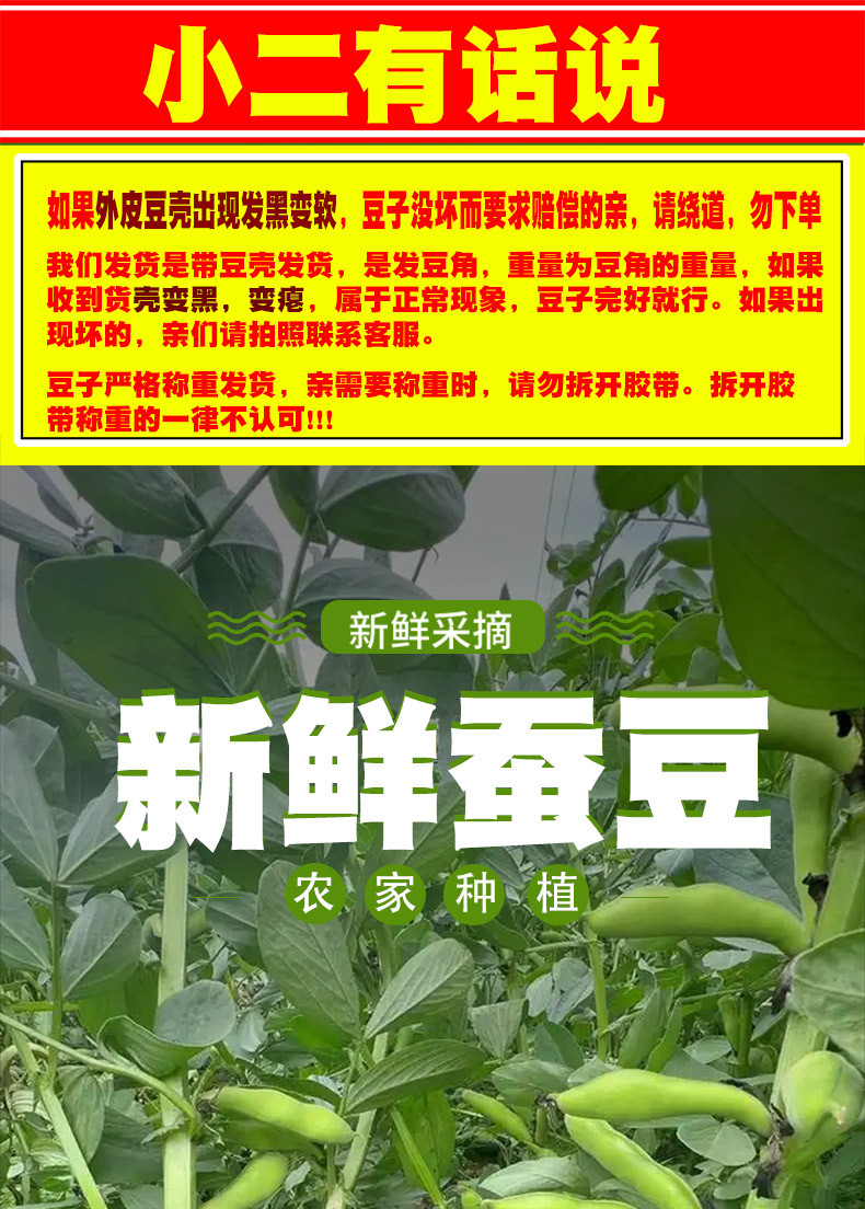 农家自产 时令蔬菜云南露天蚕豆兰花豆季节性蔬菜自然成熟现摘现发