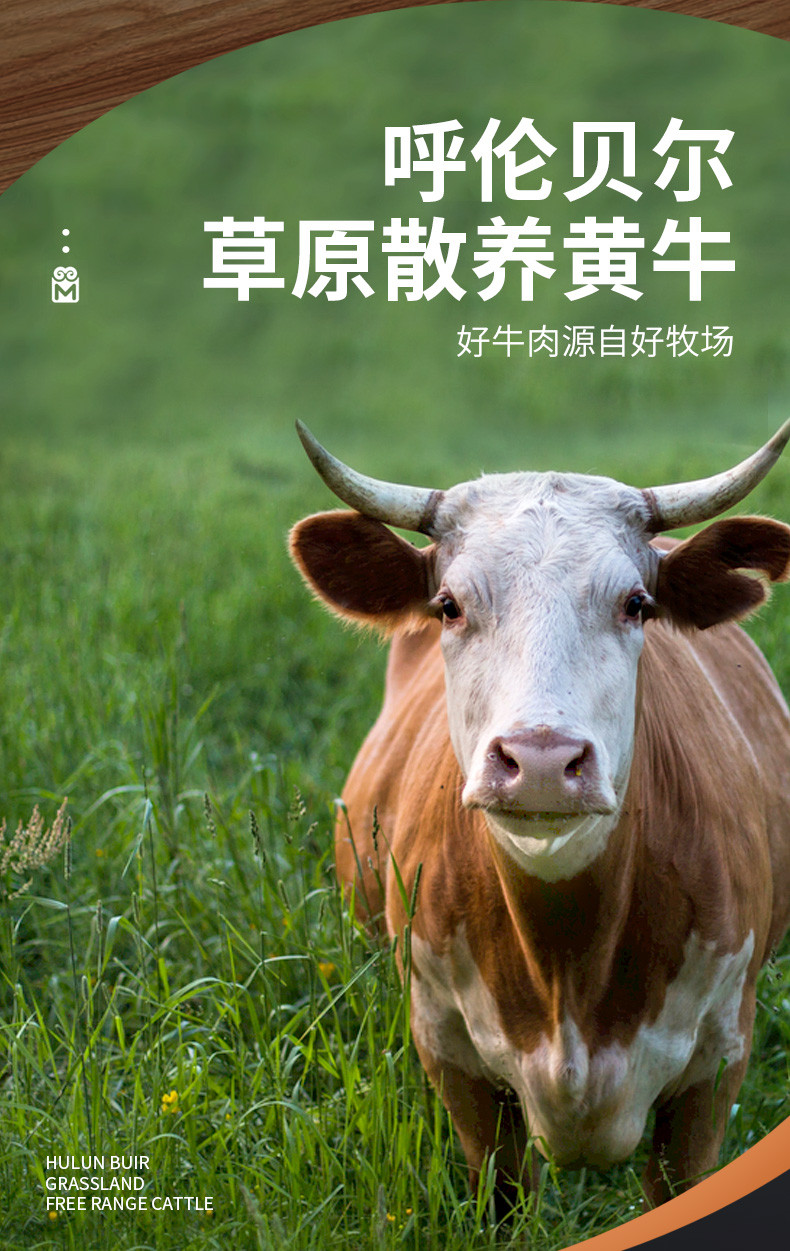 马哈妈妈 风干牛肉120克盒装