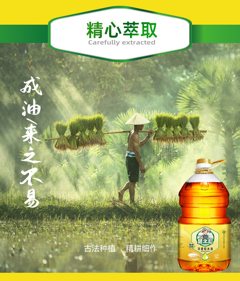 赣之村 浓香稻米油5L