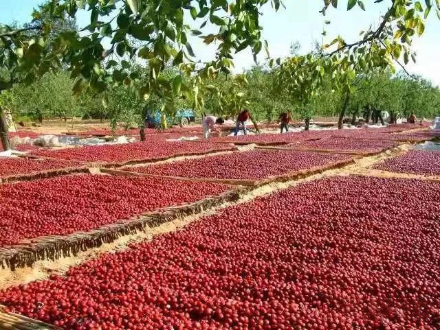 农家自产 特产金丝小枣100g*7袋/盒办公室小零食