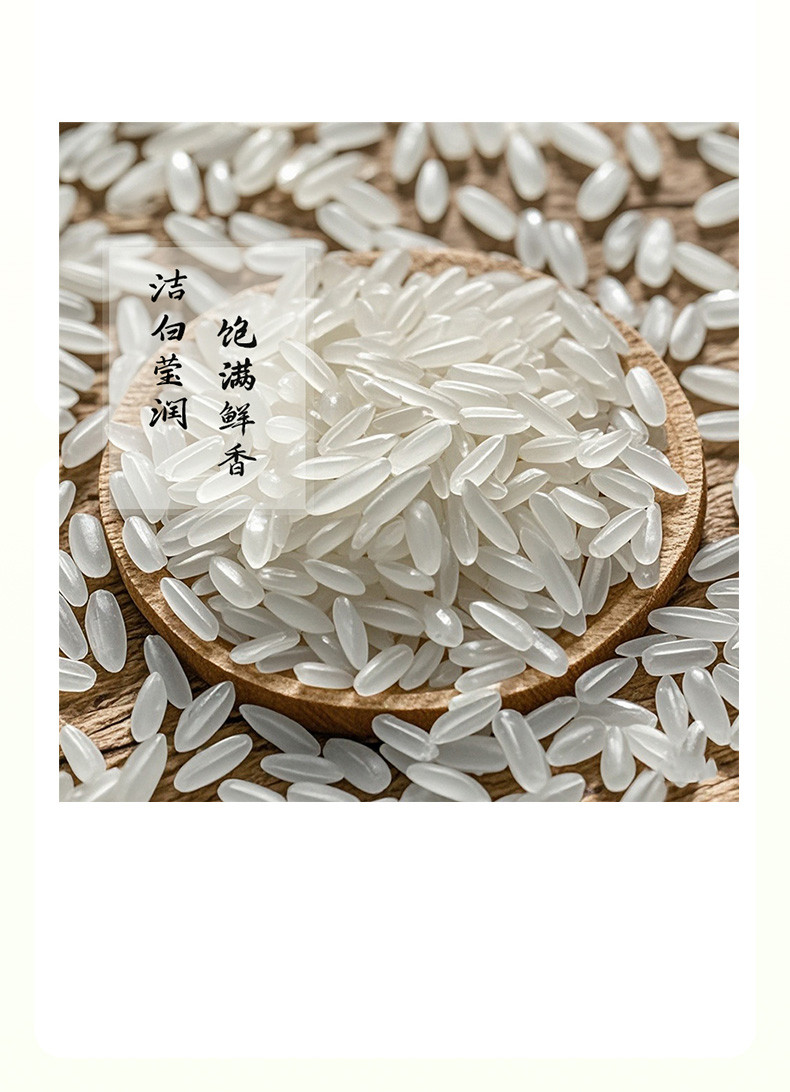 春虾秋稻 虾稻米 5KG/袋