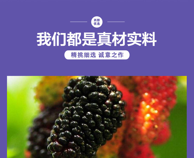 西部农夫 桑椹干袋装桑果干桑葚干泡茶泡水独立包装即食干吃150g/罐