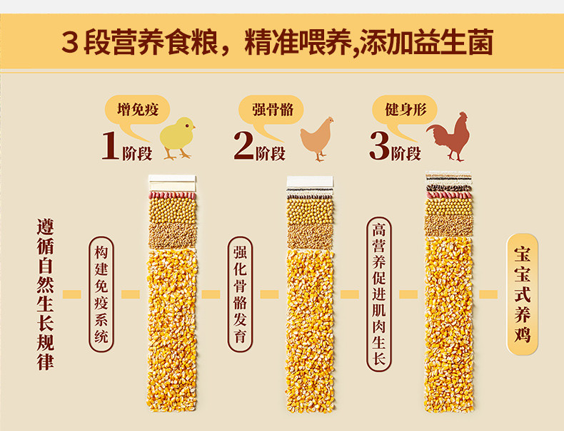 德州扒鸡 正宗德州扒鸡招牌公鸡熏香味德州牌特产即食熟食卤味