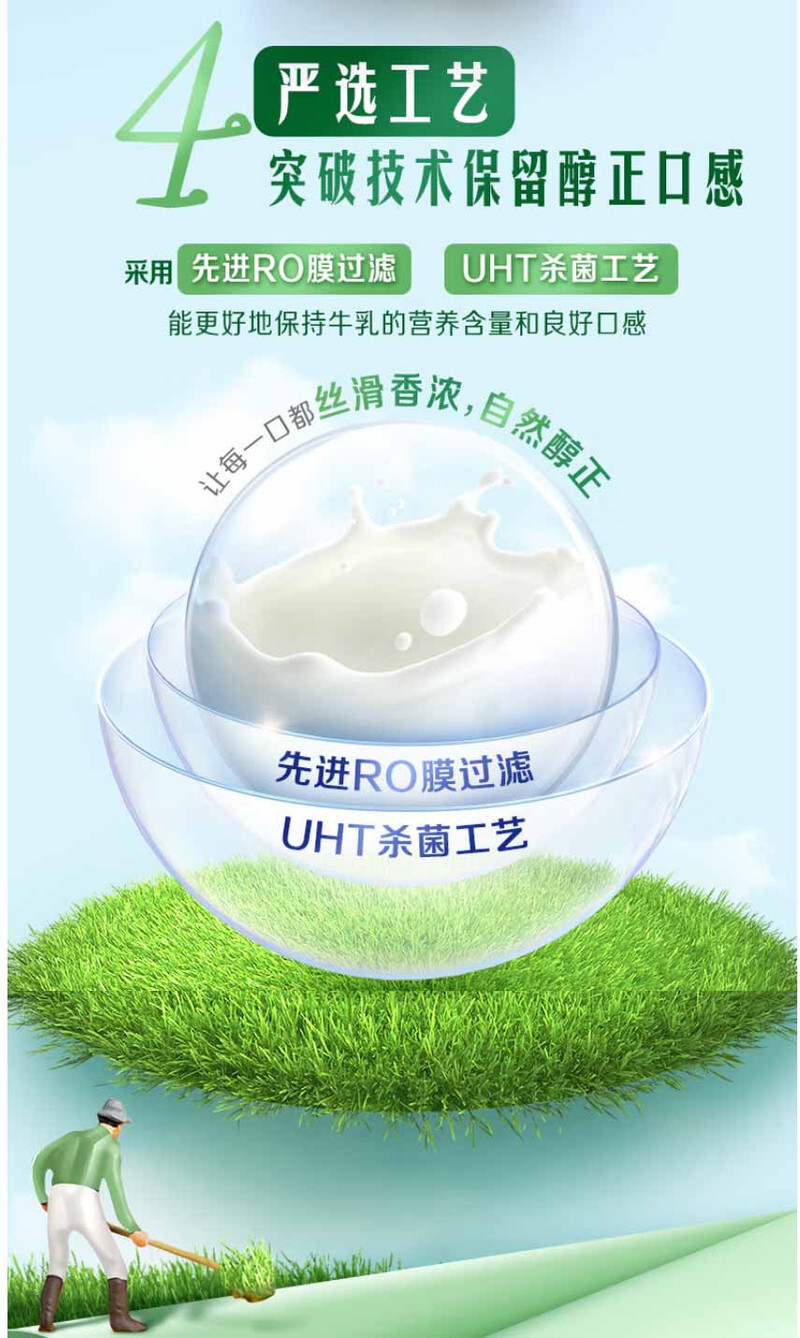 伊利 金典纯牛奶整箱 3.6g乳蛋白 原生高钙