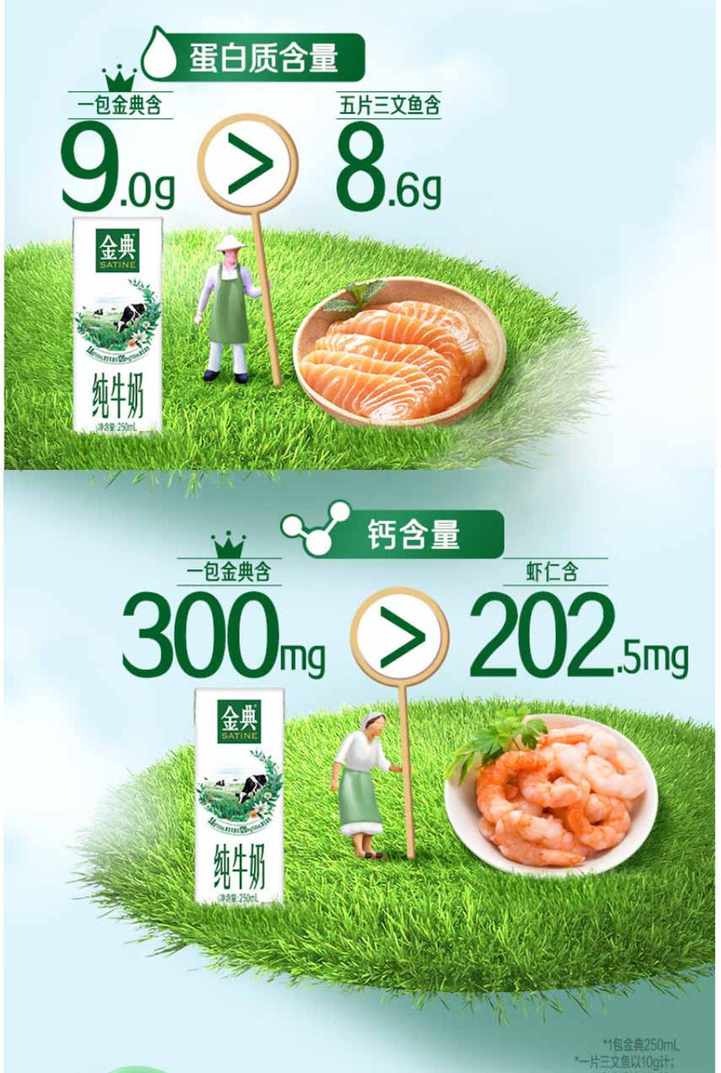 伊利 金典纯牛奶整箱 3.6g乳蛋白 原生高钙