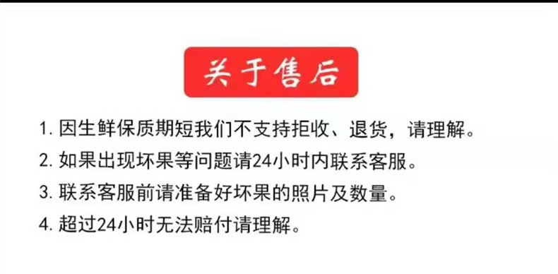 舜青堂 原产地精品潍县萝卜帝王绿精品礼盒* 装*国家地理标志保护产品