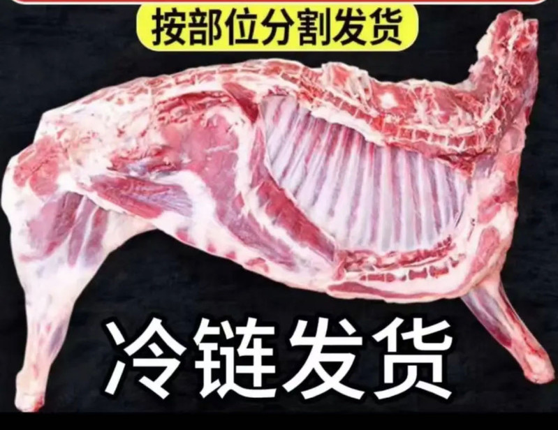 民受益 【玉农合作社专卖店】草膘羊肉