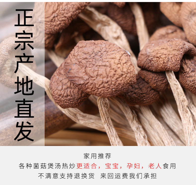 永乐武当 精选茶树菇250G/袋煲汤家用食用菌