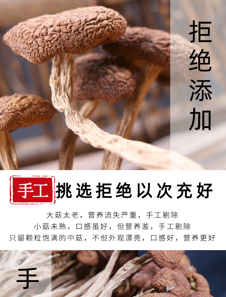 永乐武当 精选茶树菇250G/袋煲汤家用食用菌