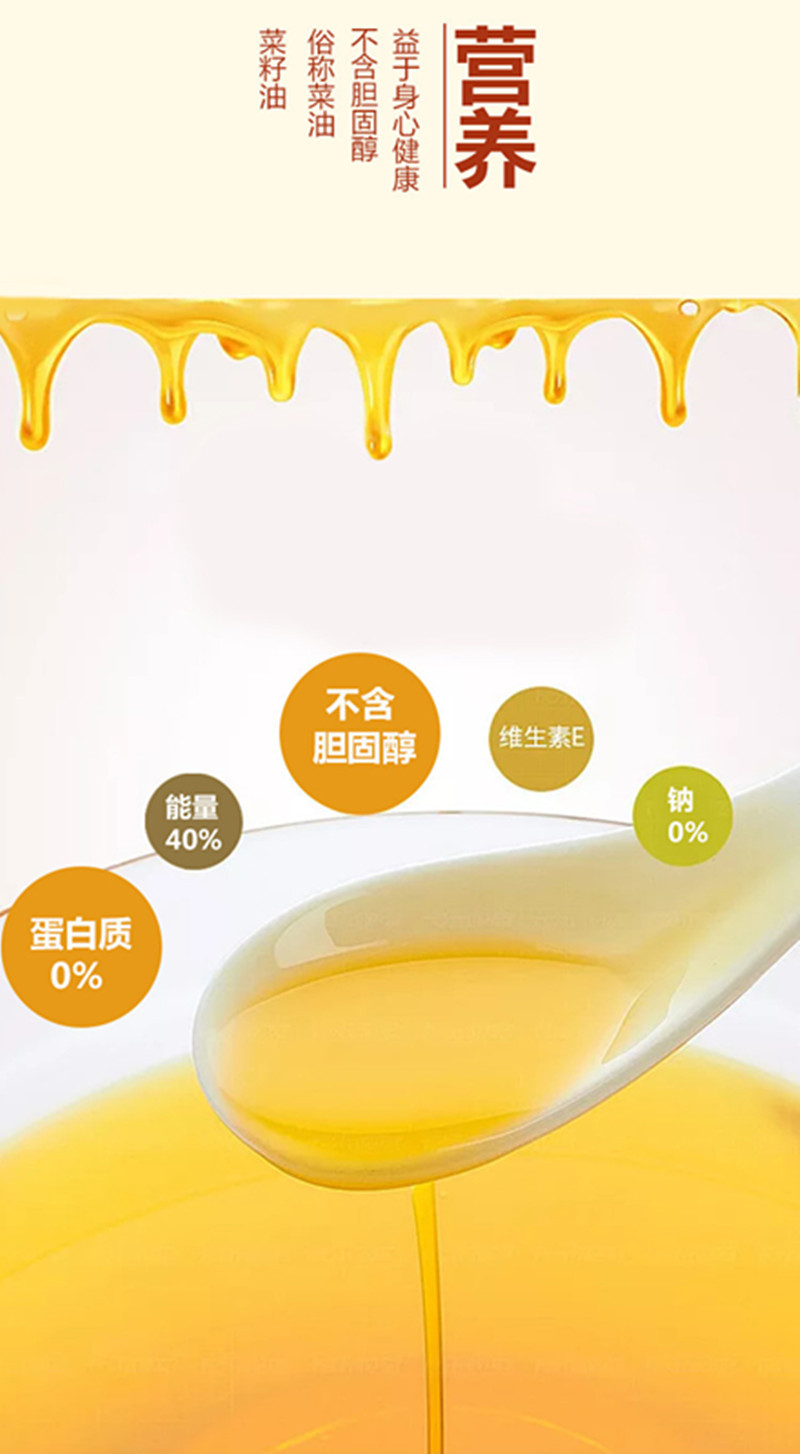 永乐武当 物理压榨纯正清香菜籽油5L/桶家用食用油非转基因包邮