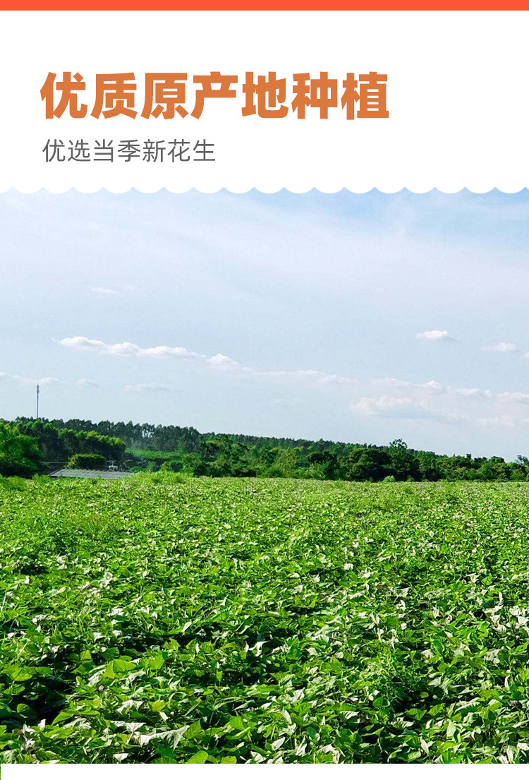 饕餮 卤煮花生带壳水煮花生即食五香盐水卤味花生啤酒伴侣大排档下酒菜