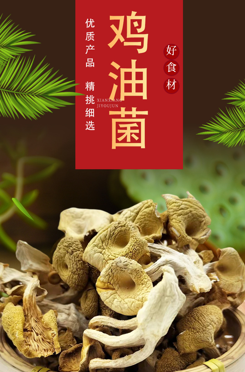 丹江君品 鸡油菌 200g/袋 南北干货煲汤食材黄丝菌食用菌榆黄菇火锅