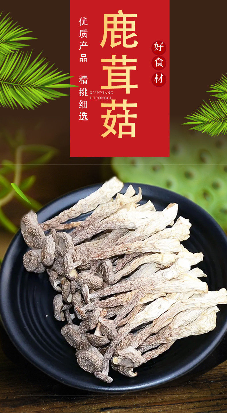 丹江君品 鹿茸菇 250g/袋 鹿茸菌菇 炒菜煲汤火锅食材