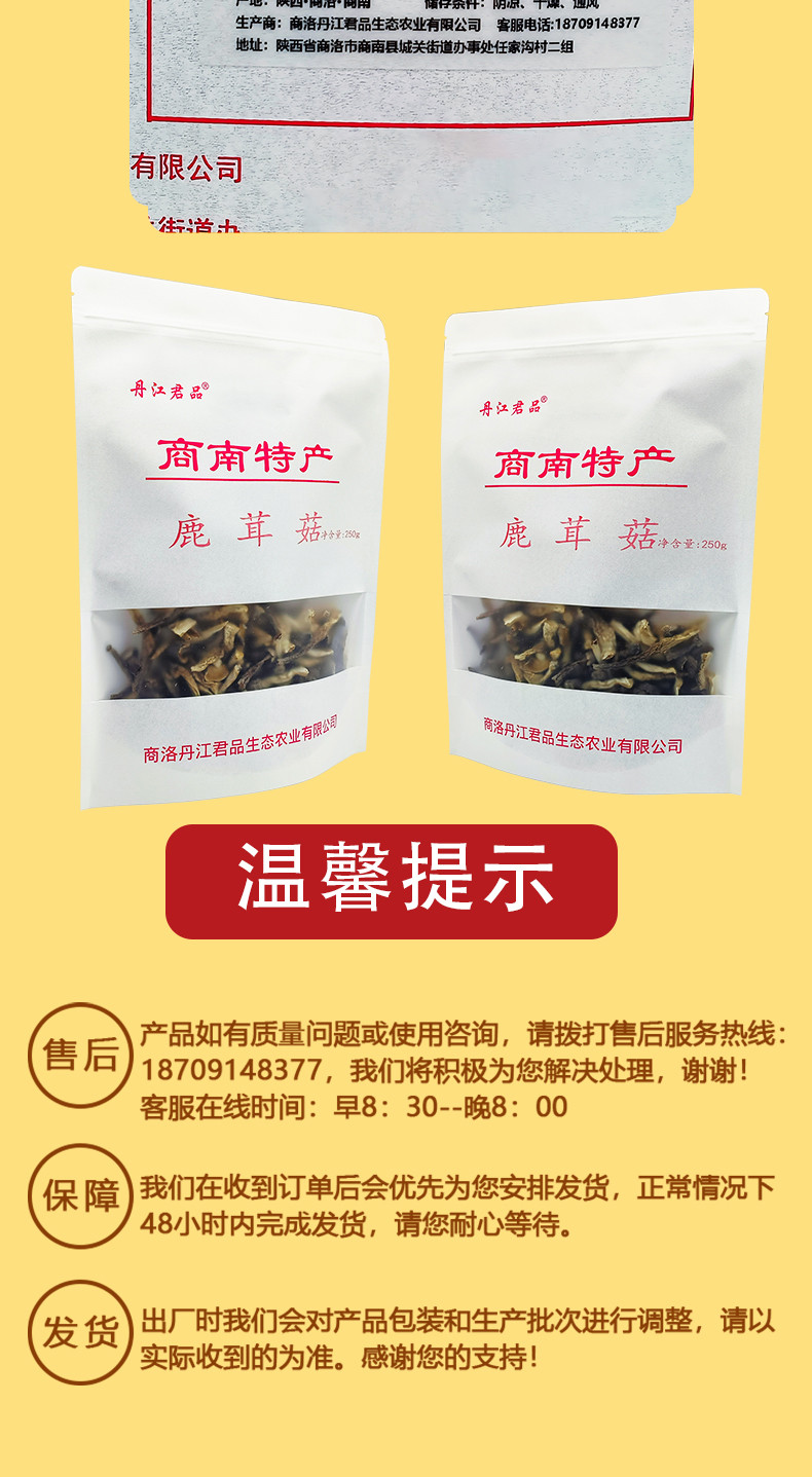 丹江君品 鹿茸菇 250g/袋 鹿茸菌菇 炒菜煲汤火锅食材