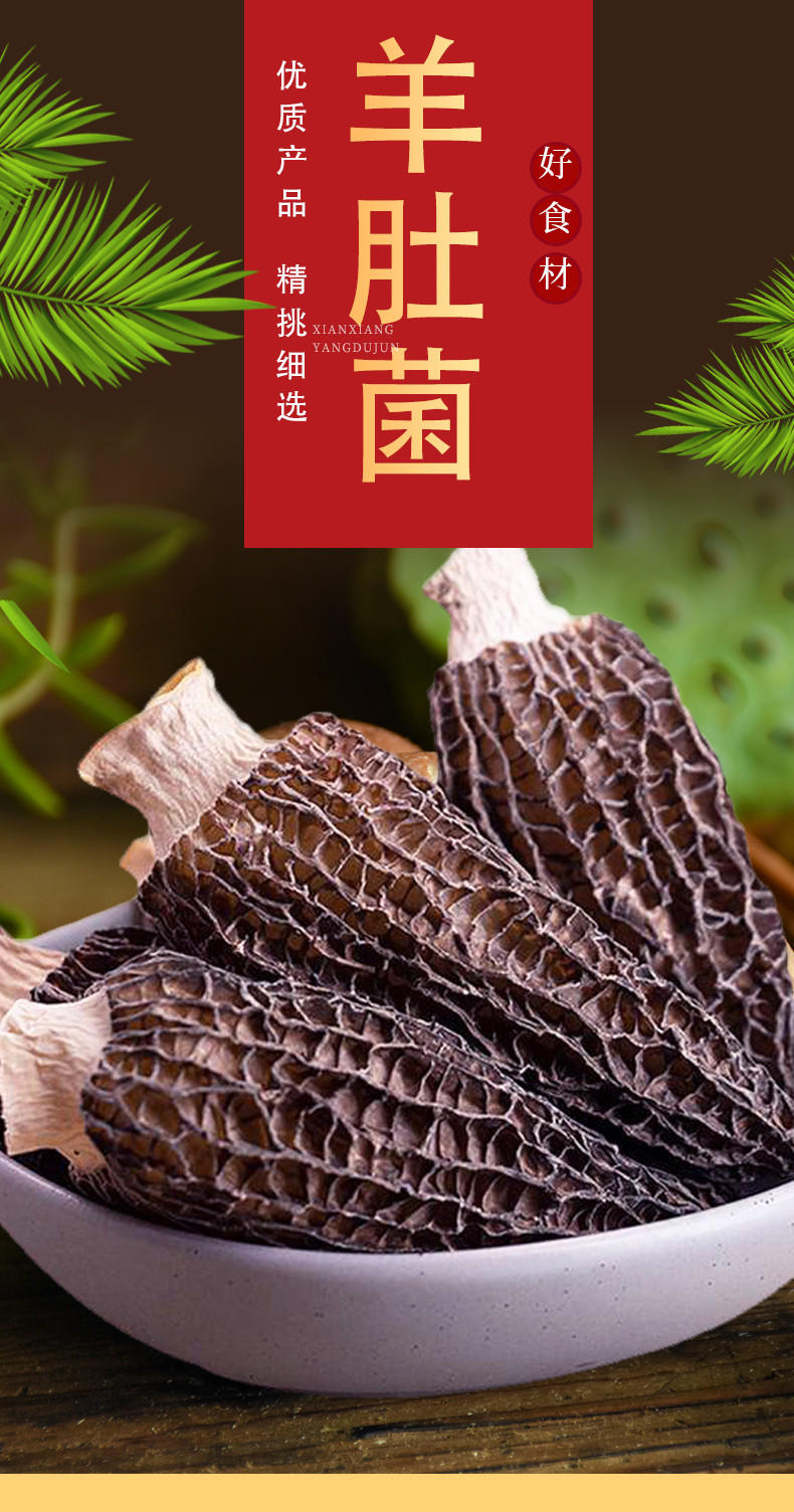 丹江君品 羊肚菌  250g/盒 菌菇山珍干货干菜炖鸡煲汤食材礼盒装