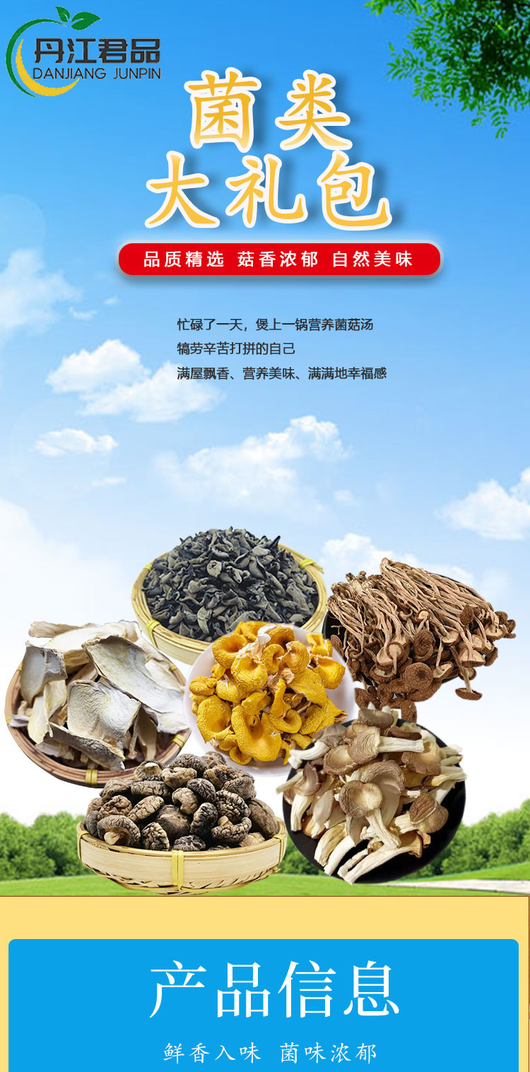 丹江君品 食用菌组合 575g/盒煲汤材料菌菇炖汤干货干菜特产礼盒装