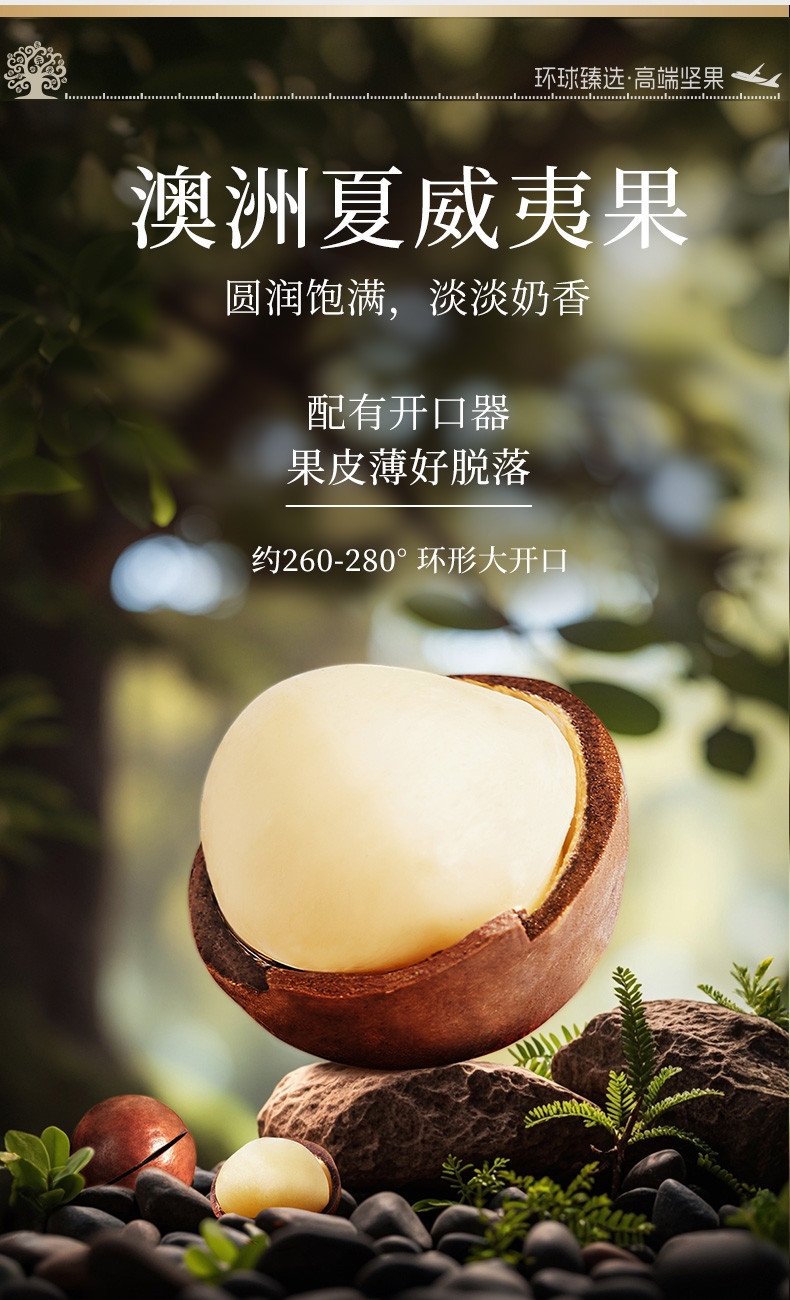 臻味 环球美味1.665kg春节年货高端坚果礼盒干果炒货休闲零食