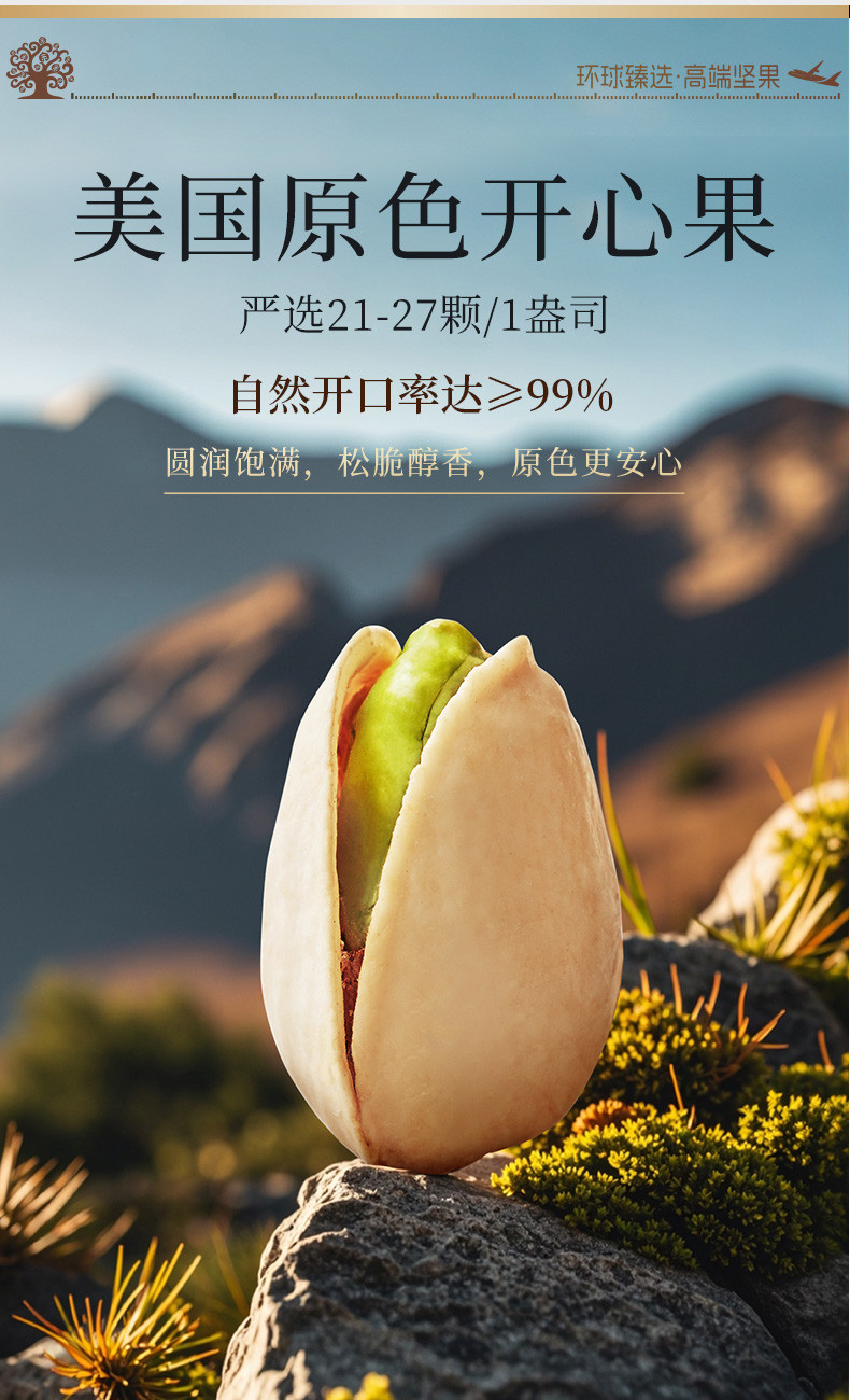 臻味 环球茗果1.97kg高端坚果礼盒干果炒货休闲零食过年大礼包