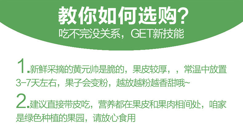 图石果记 山东烟台黄元帅苹果3斤5斤9斤新鲜应季水果