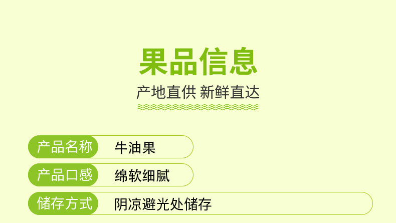 图石果记 牛油果大果特大果鳄梨巨无霸奶油果当季新鲜水果普装礼盒装