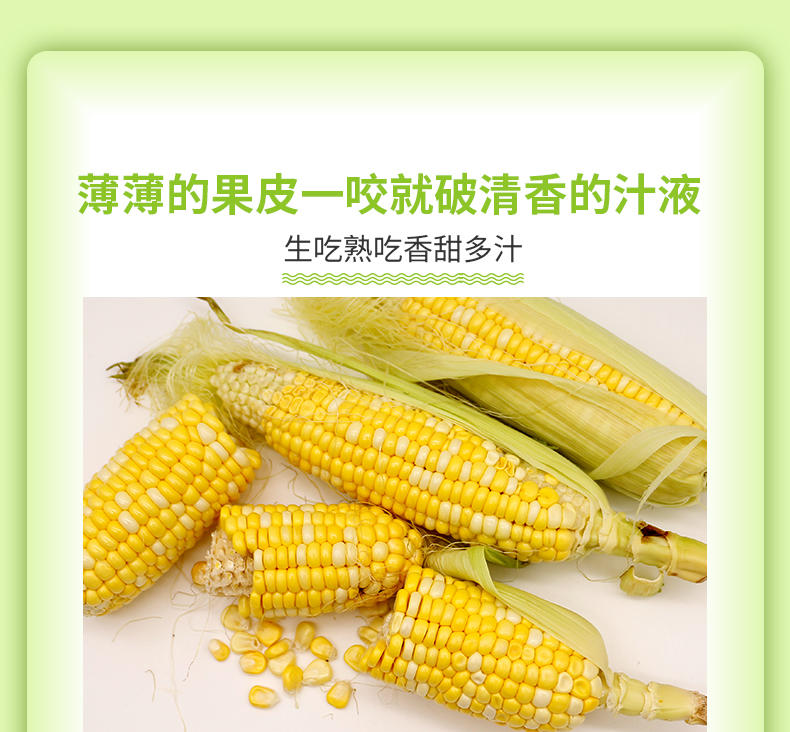 图石果记 云南水果玉米新鲜生熟两吃黄嫩应季蔬菜