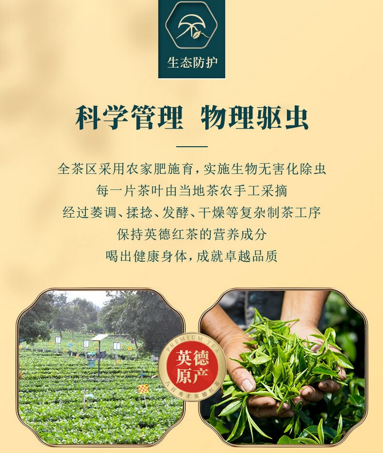 八百秀才 红茶英德红茶英红九号一级功夫红茶送礼大份量口粮茶罐装