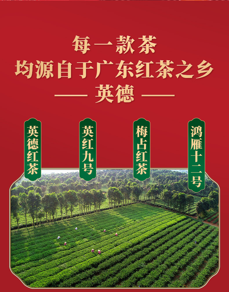 八百秀才 英德红茶英红九号一级大份量中秋礼盒装 500g功夫茶叶又见山