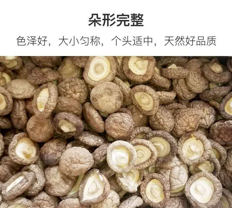 山风秋宝 阜平香菇500g礼盒脱贫县助农