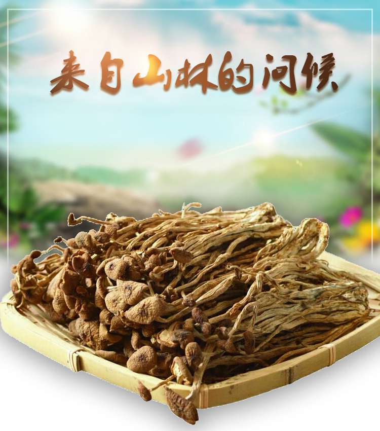 塞尚香 右玉茶树菇80g一罐