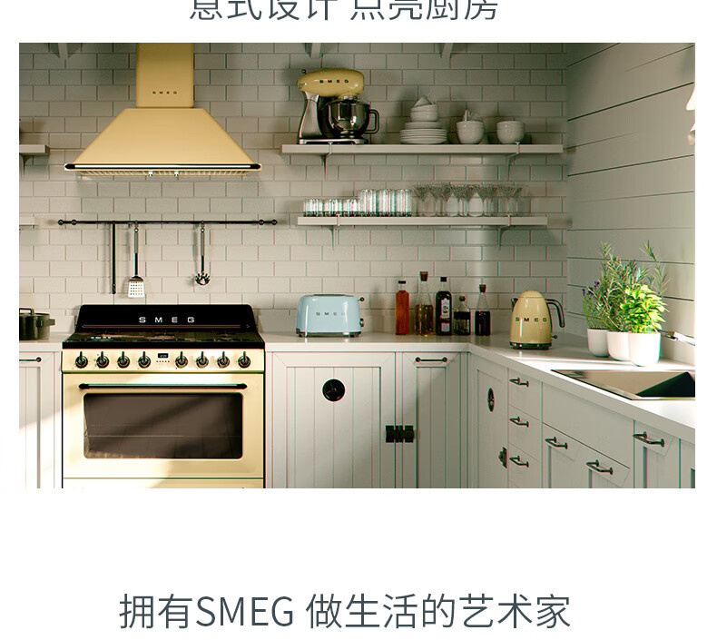 SMEG 意大利复古电热水壶1.7L 进口烧水壶 自动断电不锈钢电水壶