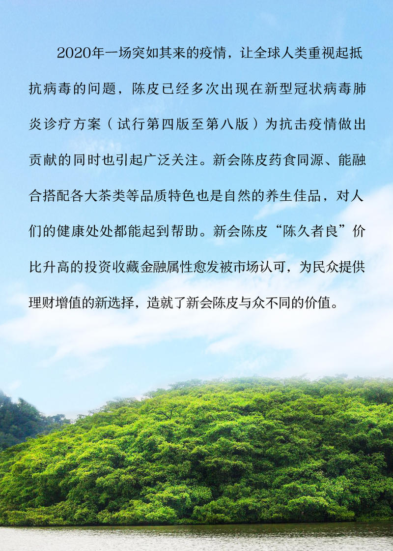 赛黄金 红金版陈皮干泡茶10年正宗广东新会三江陈皮特产250克装