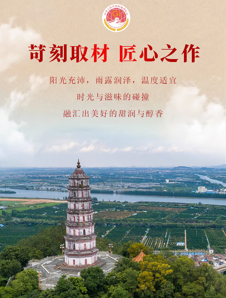 赛黄金 2023新会金天马产区生晒小青柑布朗班章宫廷金芽熟茶250克