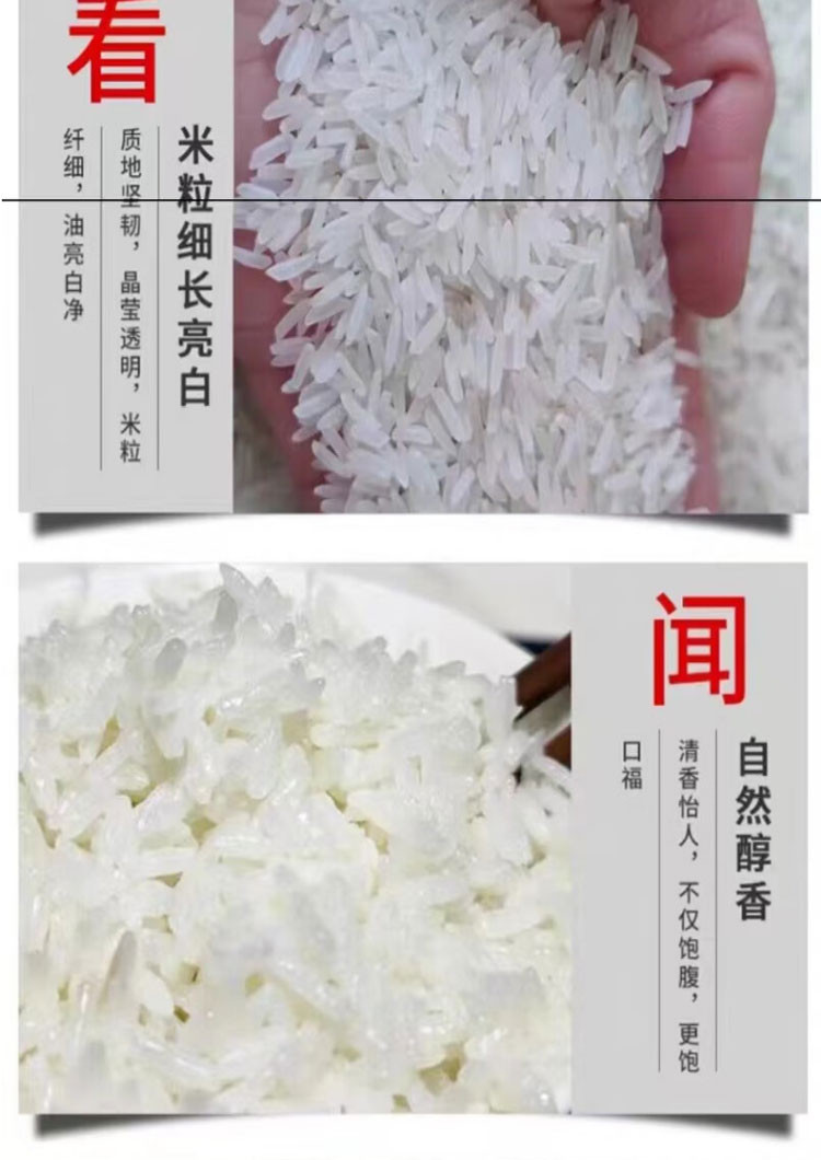 李济勤 广西大米青花瓷御品生态香米5KG