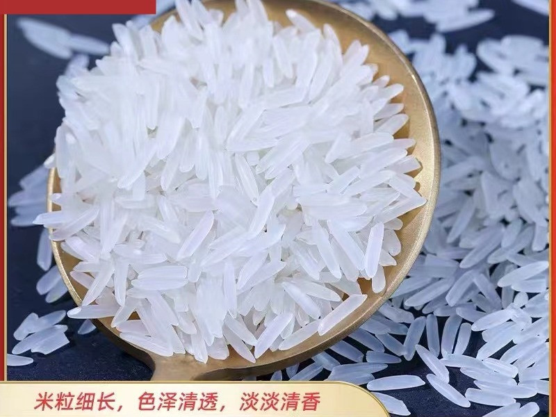 雾盛 上林金丝苗米5kg