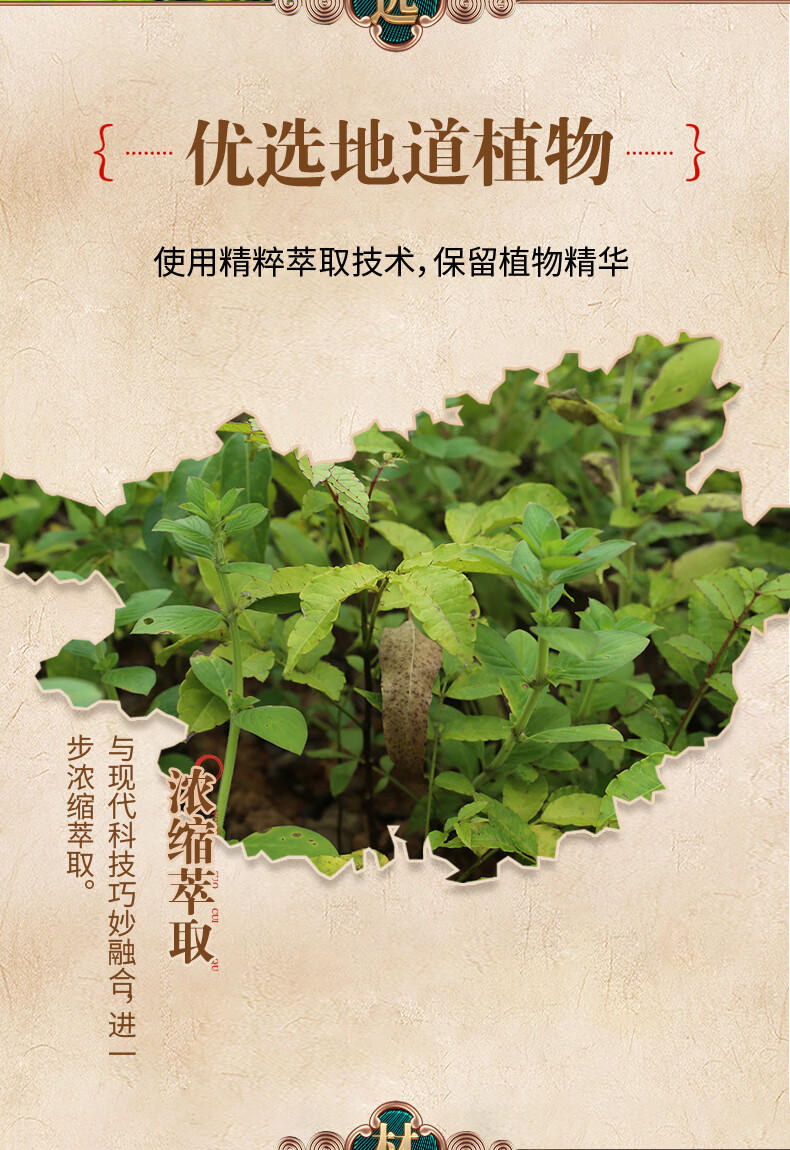 两面针 中药茉莉茶清牙膏-茉莉龙井茶