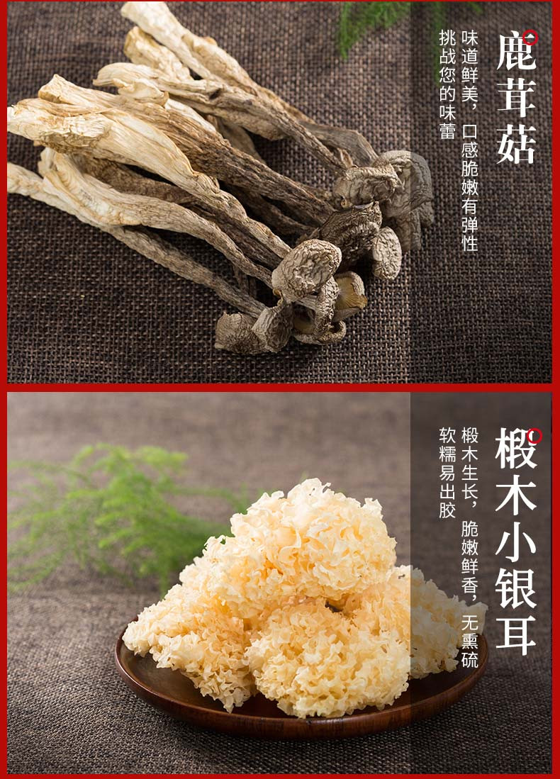 菌益 菌菇南北干货礼盒