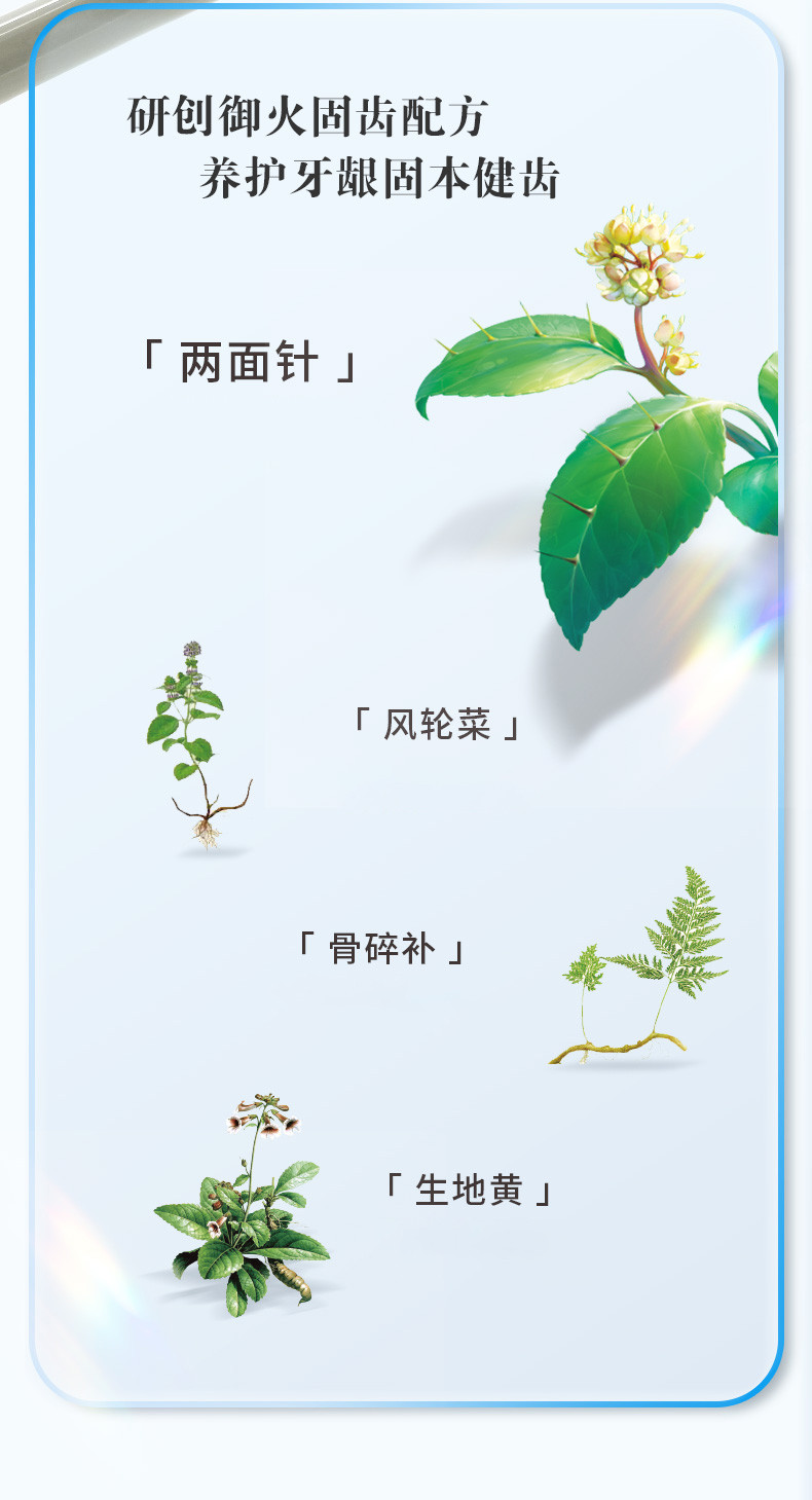 两面针 中药养龈固齿牙膏温润薄荷家庭套装140g