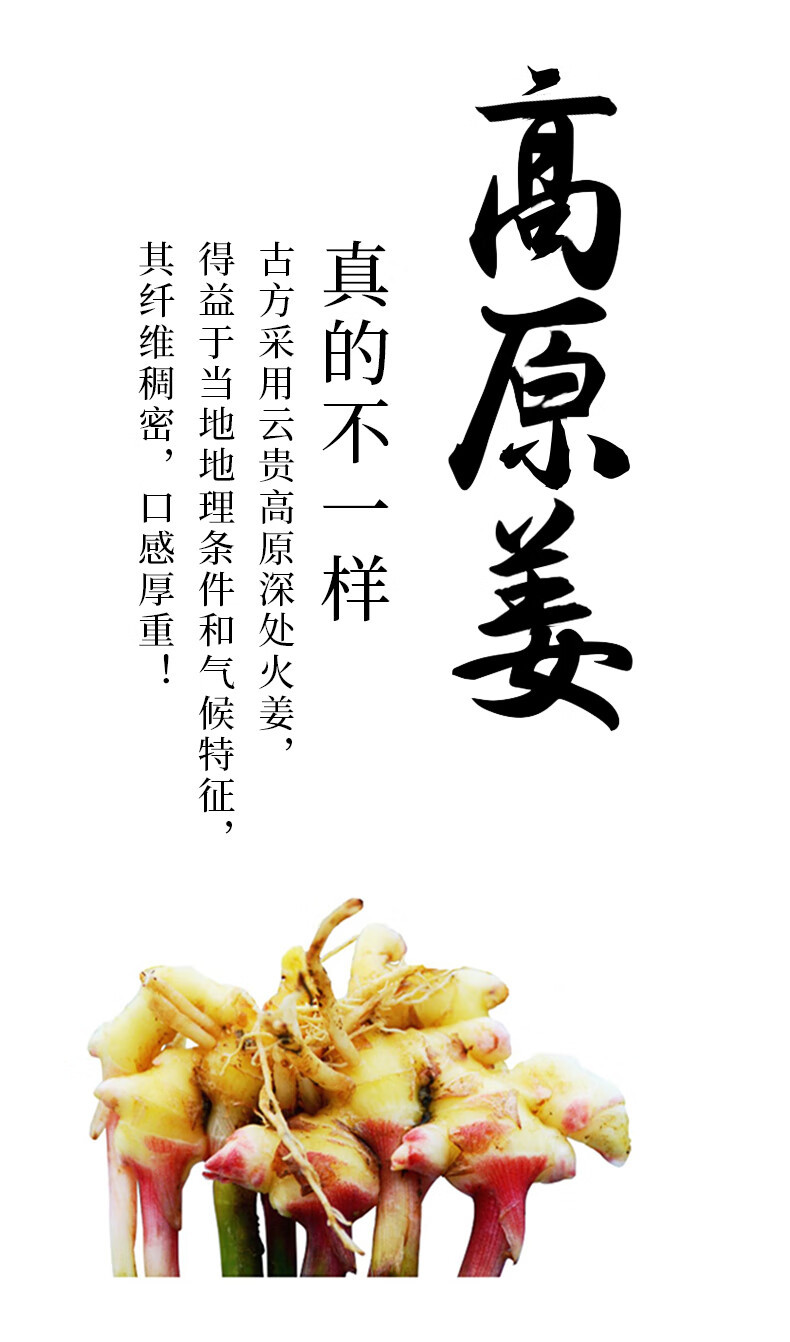 古方 火姜红糖100g（10g*10条） 即冲饮品养生茶红糖