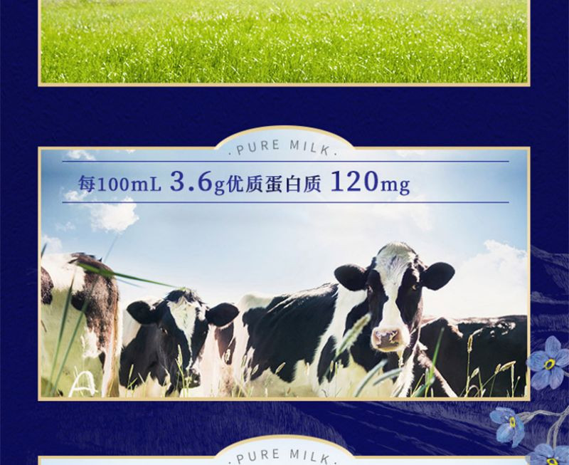 蒙牛 特仑苏纯牛奶全脂灭菌乳利乐梦幻盖250ml×10包