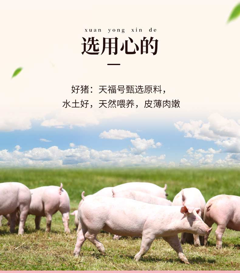  天福号 蜜汁瘦肉叉烧80g 办公室休闲零食开袋即食卤味卤肉